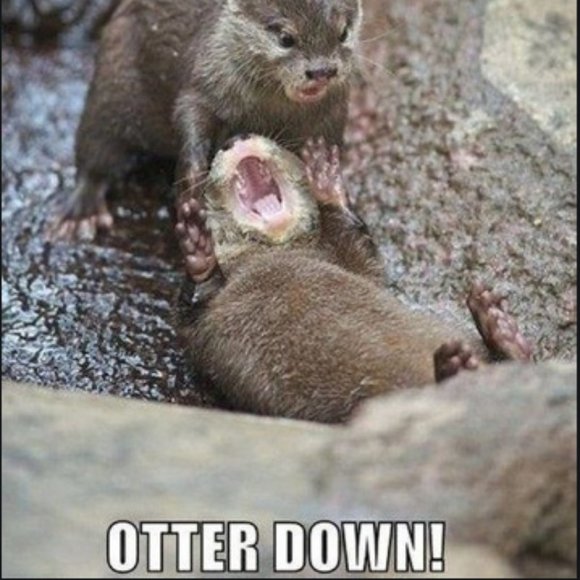 You Shine Like a Star! - Picture 10 of 12